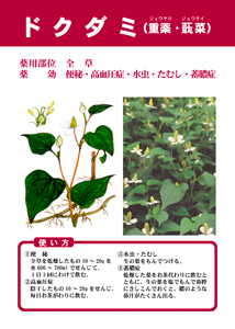 展示カラーポスター1